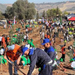 Reboisement_25_10_2025_02