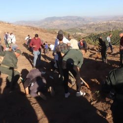 Reboisement_25_10_2025_03