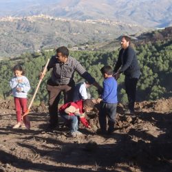 Reboisement_25_10_2025_06