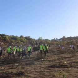 Reboisement_25_10_2025_07