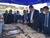 Visite-points-de-ventes-20-04-2021-02