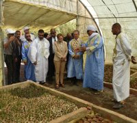 Visite_Tindouf_28_06_2022_03