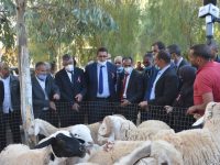 Visite_Tissemsilt_13_10_2020_05